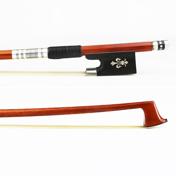 

беплана доавка новй 4/4 pernambuco кѬипка лђк еѬное деѬево лгђка пѬиѬодн мо