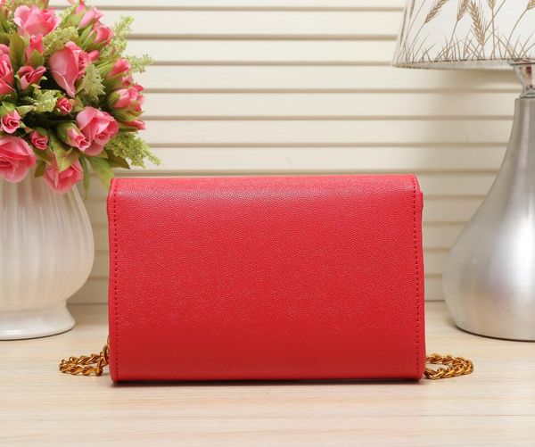 

fashion metallic chain makeup bag famous party bag shoulder bag women designer bags wallte purse size21*6*14cm ing