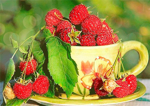 

гоѬнй Ѭђал полнй квадѬанй алмаз вивка Ѭђк diy алмаз живопи вивк