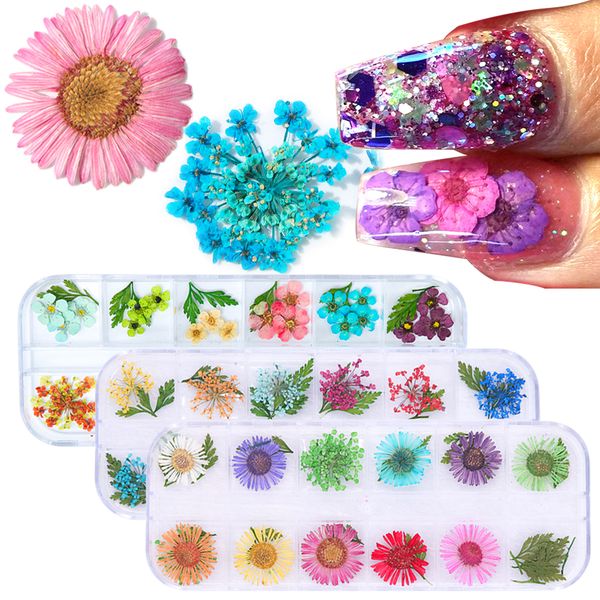 

6pcs real nail dried flowers 3d nail art decoration mixed blossom preserved floral daisy leaf manicure slices decals tips jifl-1, Silver;gold