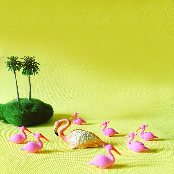 

10 Pcs/Flamingo/doll house//miniatures animals birds/lovely cute/fairy garden gnome/moss terrarium decor/crafts/bonsai/figurine