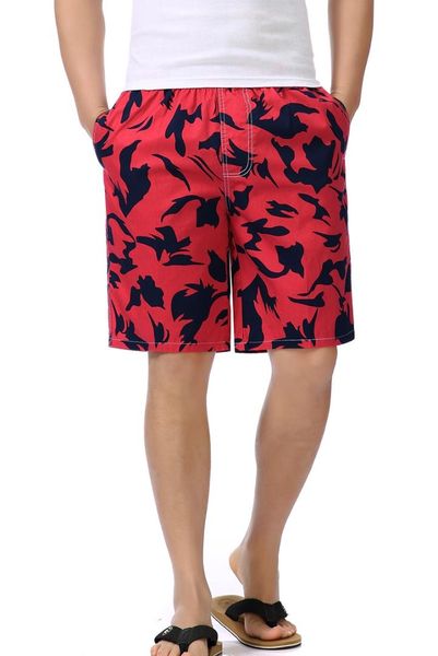 

leisure shorts, White;black
