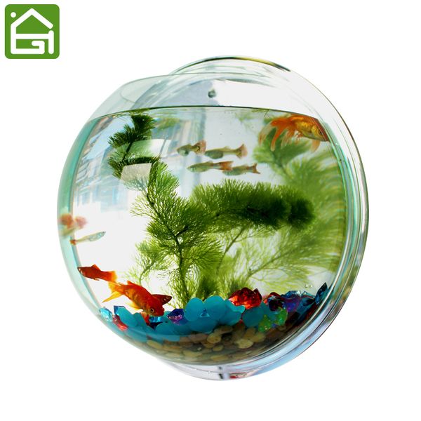2019 Creative Wall Hanger Organizer Acrylic Hanging Fish Bowl Home