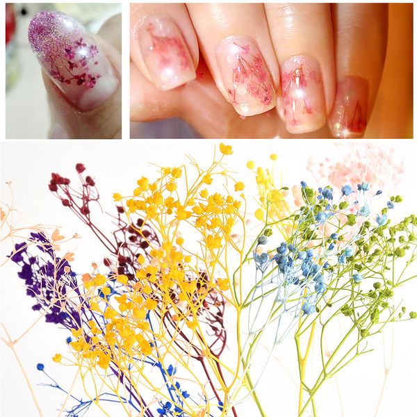 

beautiful 7pcs/bag dried flower 7 colors cornflower pretty preserved flower 3d diy manicure nail art decoration ing, Silver;gold