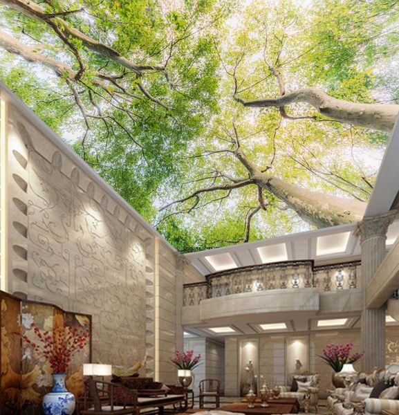 

3d обои из кирпича 3d vision looking up дерево лес солнце солнце верхняя стена фон 3d природа обои