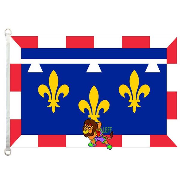 

centre (france) flag,90*150cm ,100% polyester, banner,digital printing