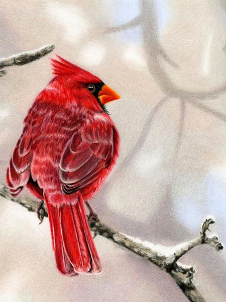 

a1965 bird 30*40 5d diy diamond embroidery painting home decor diamond crossing stitch 100% resin tool dril painting mosaic needlework