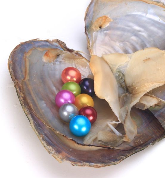 

2018 новый akoya pearl oyster круглый 6-7 мм 25 цветов морская вода природный культивированный в свежие устрицы жемчужина мидии фермы постав, White