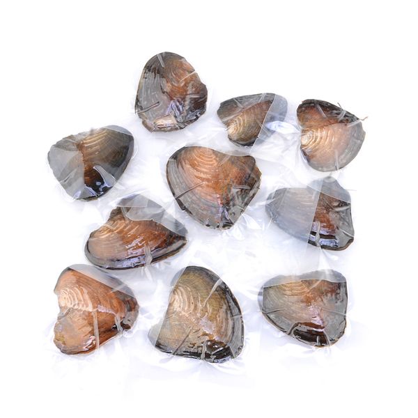 

Новый 2017 Оптовая круглый Akoya Pearl Oyster белый розовый фиолетовый черный 6-7 мм партия пользу вакуумная упаковка