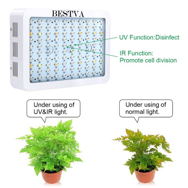 LED BestVA Grow Light 300/600 / 800 / 1000/1200 / 1500/1800 / 2000W Spectrum completo para estufa interna crescer plantas de barraca crescer luz LED