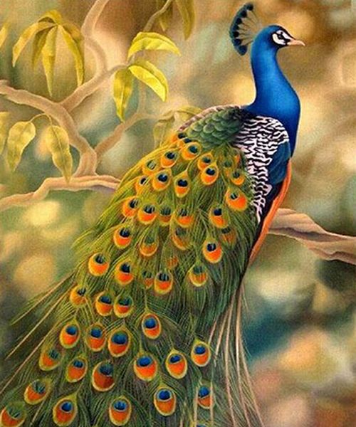 

a1990 павлин 50 * 60 5d diy алмазная вышивка живопись home decor алмазный вышивка крестом 100% смола инструмент dril живопись мозаика рукоде