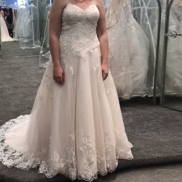 

strapless bodice and cascade into the floaty tulle skirt plus size wedding dress beaded lace appliques chapel train bridal dress, White