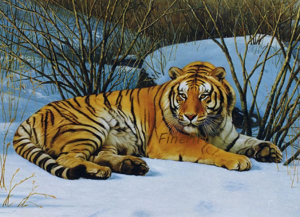 

handmade oil canvas discount tiger art oil painting animal canvas art fine art paintings office wall decortion