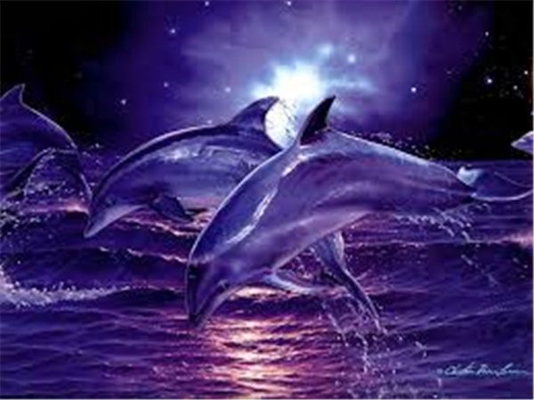 

diy алмаз живопись вышивки крестом комплект горный хрусталь мозаика украшения дома животных дельфин живопись полный квадратный алмаз вышивка