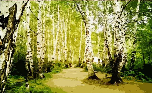 

custom 3d mural wallpaper clear woodcut effect birch tree series decorative painting background wall art mural for living room large painti