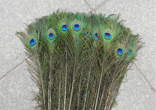 2019 New Feather Peacock Tails 10 12 Tail Feathers Fan For