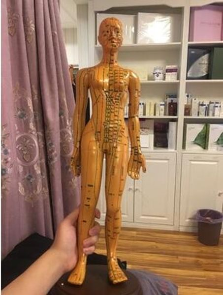

48cm gold female lettering acupuncture point body mannequin of acupuncture, medical research massage reflex zone teaching model c518, Black