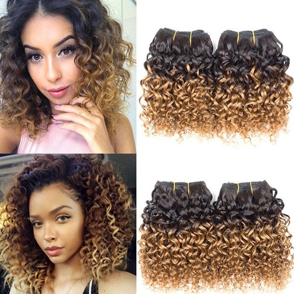 Brazilian Curly Hair 4 Bundles Short Deep Curly Human Hair Weave
