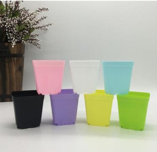 Mini vasi da fiori con telaio Vasi da vivaio in plastica colorata Fioriera per fiori per la decorazione di Gerden Home Office Desk Planting