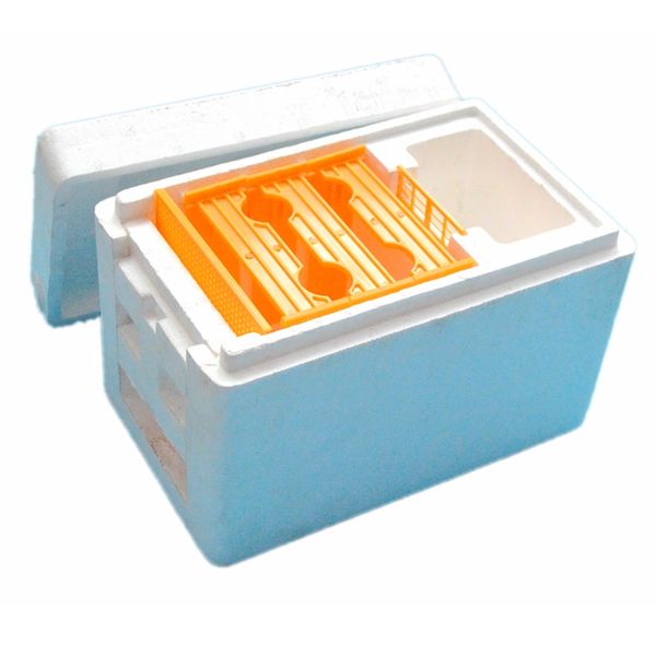 

Mini Mating Beehive, Mini Nuc Beehive with 3 Plastic Frames for Free Shipping