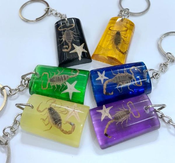 

yqtdmy 12 pcs scorpion keychain rectangle fashion hawaii brand new, Slivery;golden