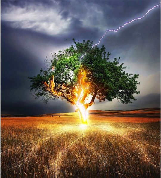 

полный квадрат/раунд дрель 5d diy алмаз живопись "дерево жизни" вышивка крестом мозаика home decor искусство опыт игрушки подарок a0023