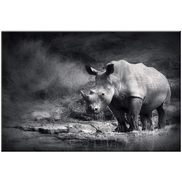 

blanket comfort warmth soft plush throw for couch rhinoceros grassland animal beautiful sofa bed blanket kids blankets