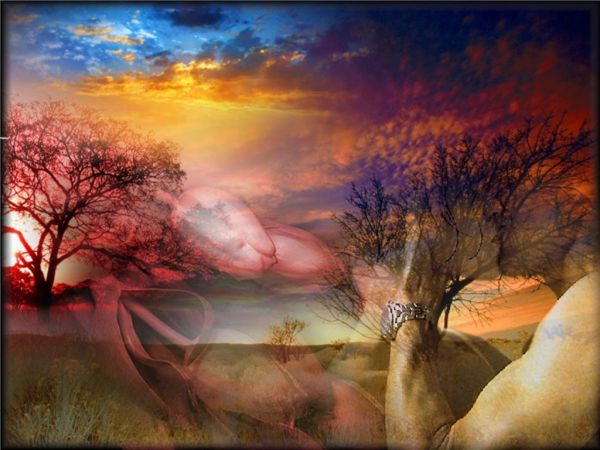 

diamond embroidery needlework diy diamond painting cross stitch kits landscape tree full square diamond mosaic room decor zxh0615