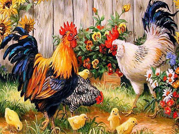 

a2332 cock 40*30 5d diy diamond embroidery painting home decor diamond crossing stitch 100% resin tool dril painting mosaic needlework