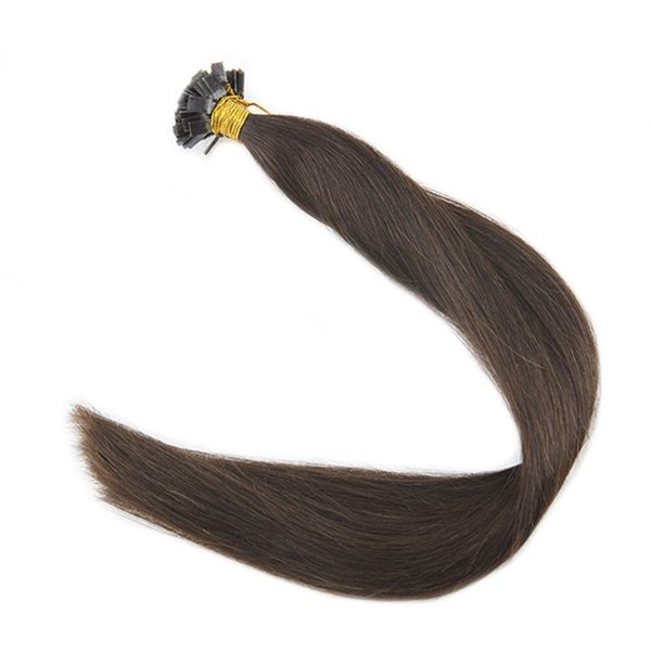 100 Remy Pre Bonded Keratin Flat Tip Human Hair Color 2 1g Strand
