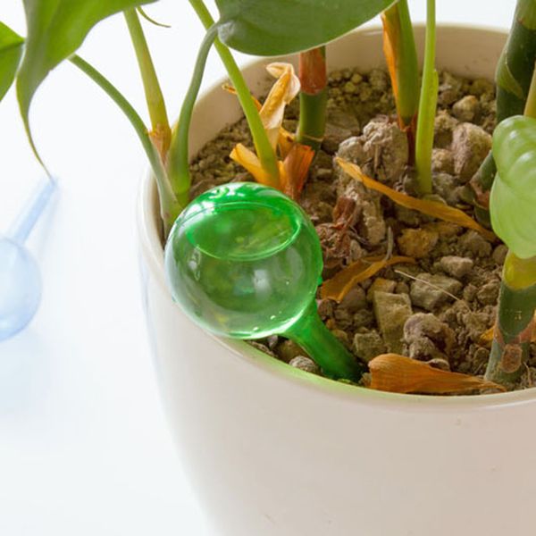 

2шт/установить устройство автоматического полива комнатное растение завод горшок лампы глобус сад капельного конуса спайк бутылка оросительн