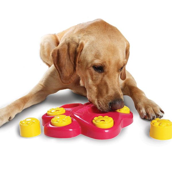 2020 Pet Dog Bowl Feeder Funny Slow Eating Dish Pet Bowl Find Food
