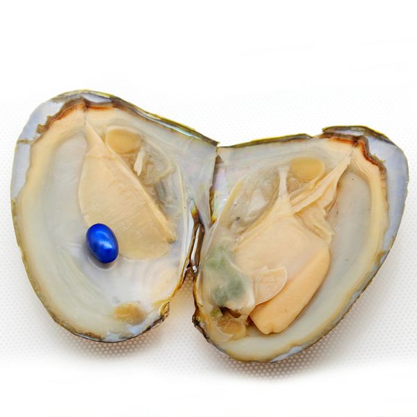

oval oyster pearl 2018 new 6-8mm #9 dark blue freshwater natural pearl gift bulk decoration vacuum packaging wholesale ing
