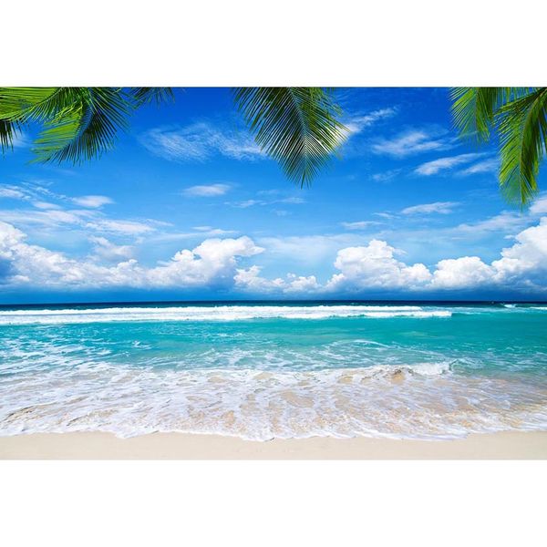 Sfondo di spiaggia tropicale con cielo blu e mare, fotografia stampata con foglie di palma, spray bianco, sfondi per foto panoramiche estive per bambini