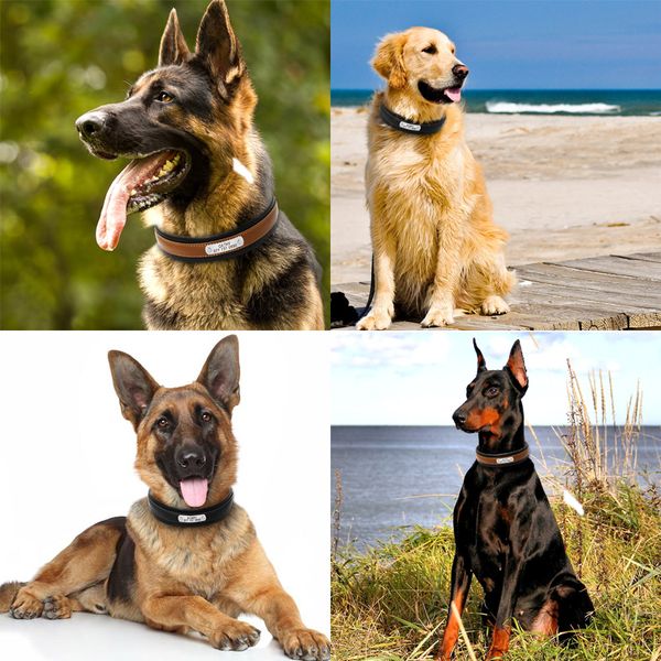 

eco-friendly personalized dog collar customized dogs id collars inner padded leather pet collar for medium large pets engraving