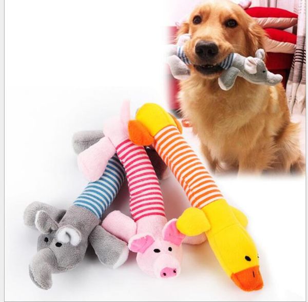 cute puppy supplies