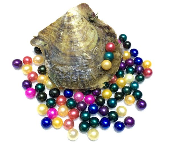 

Море Akoya Pearl oyster 2018 раунд 6-7 мм pearl 20 цветов морская вода природные устрицы желание pearl смысл смешно день рождения DIY подарок Оптовая