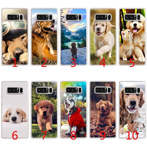 coque samsung a50 golden retriever