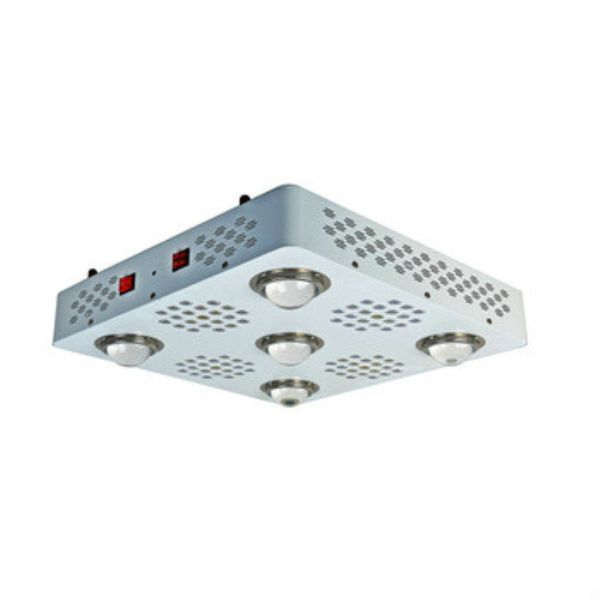 

Grow light plu 1200w full pectrum uv ir whole ale cob led plant grow light 1200w full pectrum with veg bloom witch