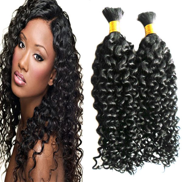2 Bundles Kinky Curly Brazilian Bulk Human Hair Braiding Hair Bulk