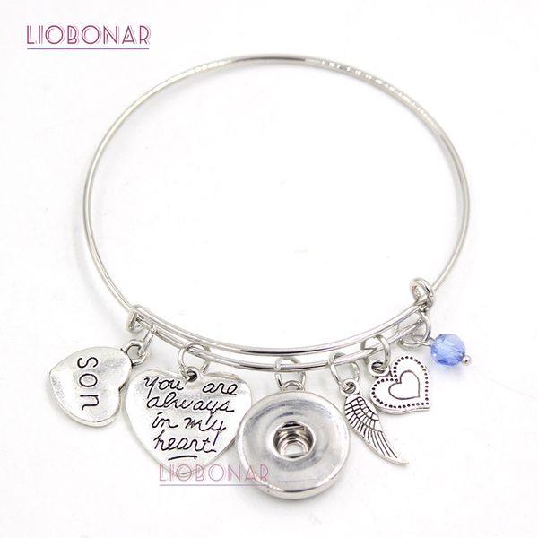 

wholesale snap jewelry adjustable expandable wire bangle memorial son charm bracelets snap button bracelets for family gift, Golden;silver