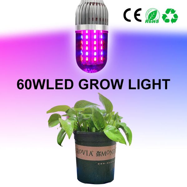 Full Spectrum Grow Lights E27 18w 28w 43w 54w 60w Red Blue Smd
