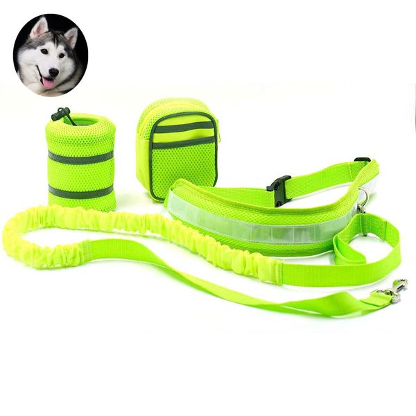 

4 color elastic waist dog leash running jogging sport dog supplies adjustable nylon dog harness with reflective strip pet accessories