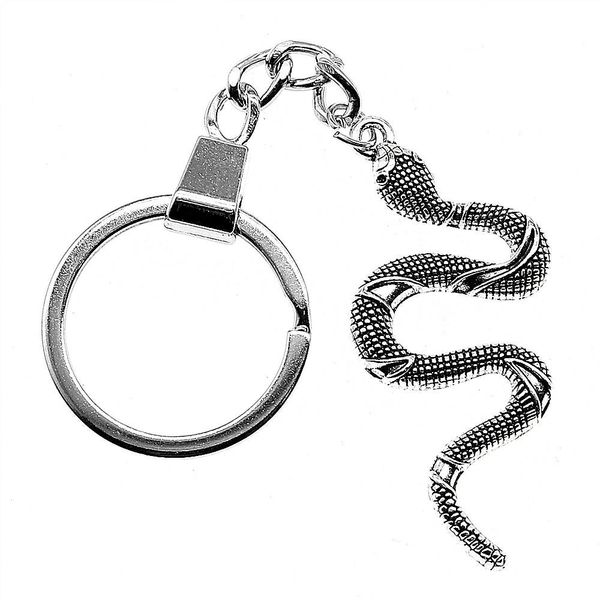 

6 pieces key chain women key rings for car keychains with charms snake 53x23mm, Slivery;golden