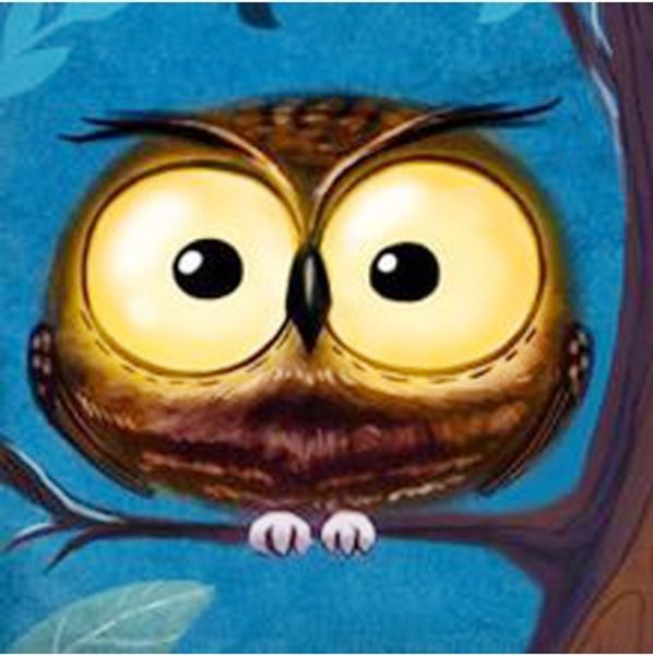 

full square/round drill 5d diy diamond painting "owl" embroidery cross stitch mosaic home decor art experience toys gift a0353