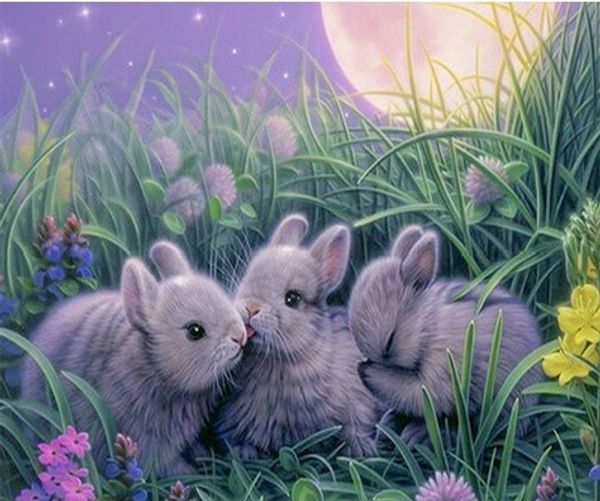 

full square/round drill 5d diy diamond painting "rabbit" embroidery cross stitch mosaic home decor art experience toys gift a0313