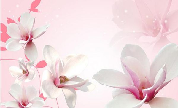 

веок магнолии нези в оне ен Ѭопии 3d обои 3d обои дл в оне