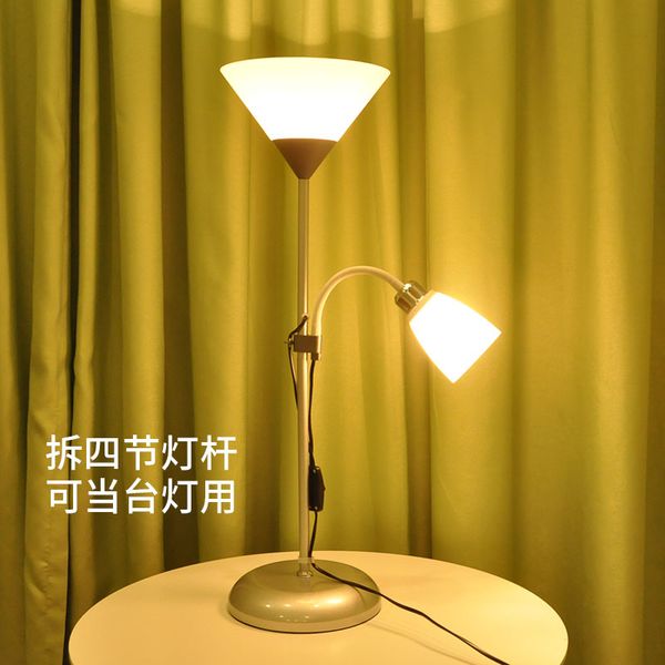 2018 Floor Lamp Living Room Bedroom Study Bedside Learning Double Head Mother Nordic Creative Simple Led Remote Control Eye From Haoxinlamp 54 85
