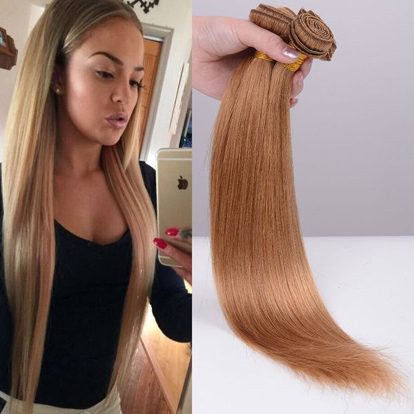 Great Quality Brazillian Straight Hair Bundles Color 27 100