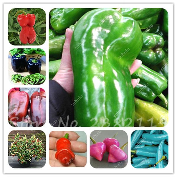 

200pcs/bag rare shape chili seeds mixed different spices spicy pepper seeds non-gmo vegetable seeds garden supplies